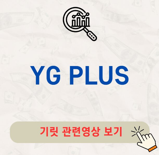 YG PLUS 주가 배당금 지급일