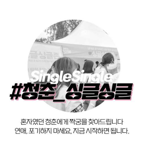 청춘페스티벌 2023