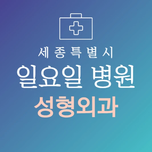 세종시-일요일-성형외과-문여는곳-주말에-진료하는-세종시-24시간-성형외과-병원