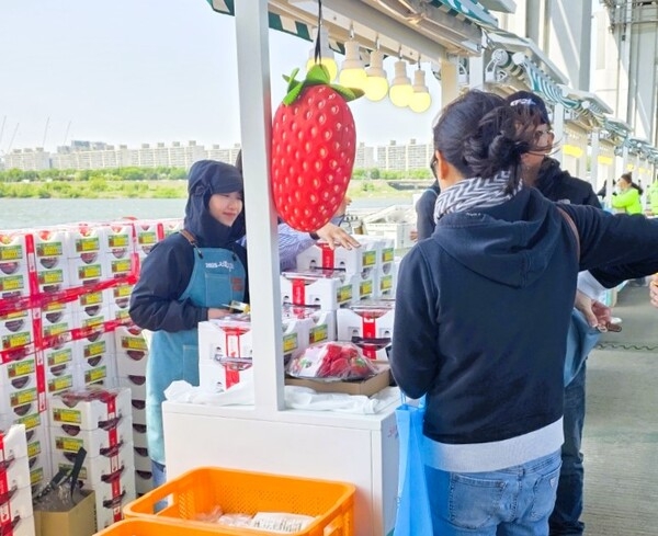 청정 장성의 먹거리 총출동! 서울 한복판서 펼쳐지는 특별판매전