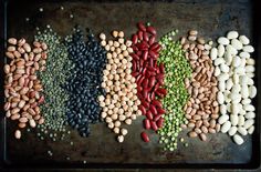 고지혈증에 좋은 음식 식단 좋은 운동 고지혈증에 나쁜음식