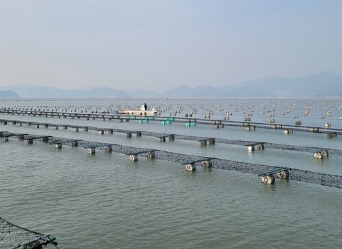 어업인 재해보험