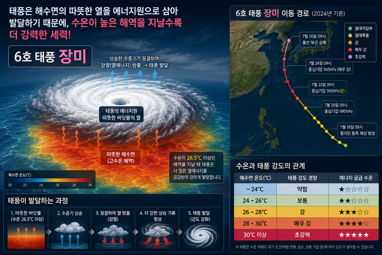 6호 태풍 장미
