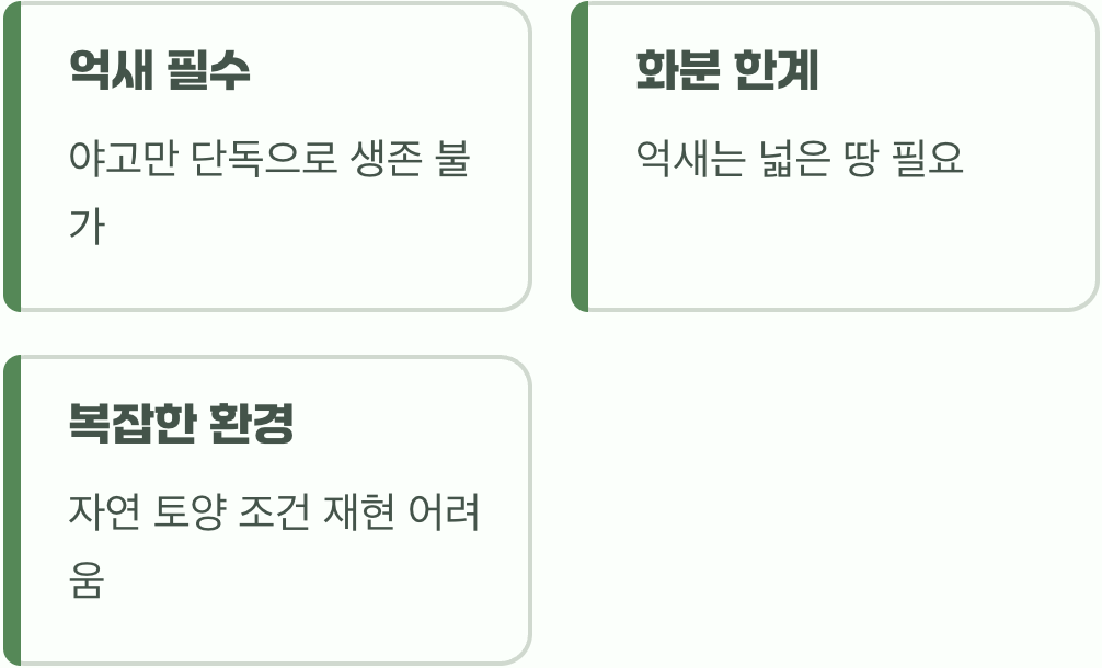 집에서 키울 수 없는 결정적인 이유