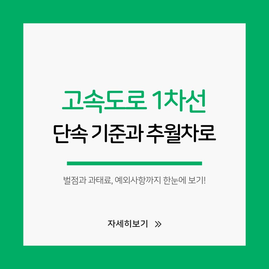 고속도로 1차선 단속 정보 정리