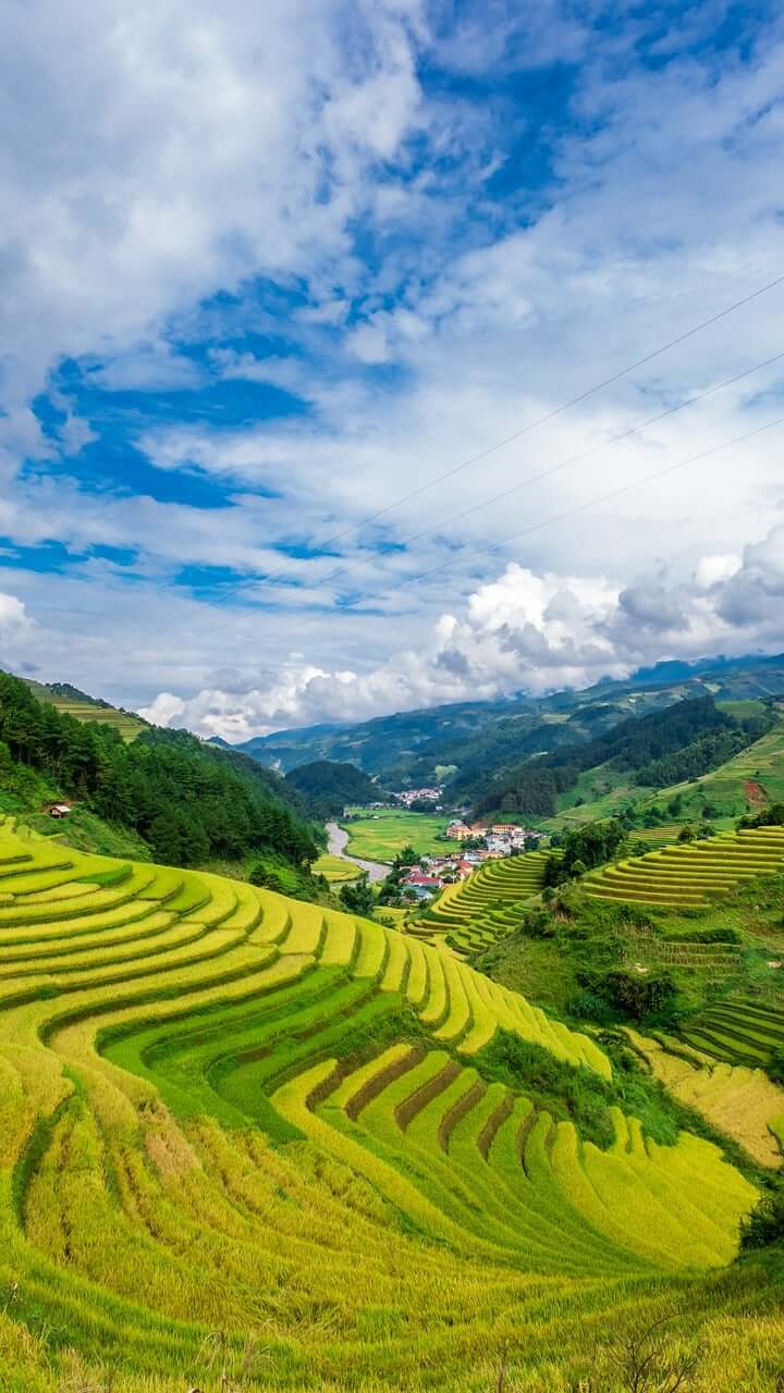 농지와 대지가 혼재된 토지, 감정가 계산은 어떻게 하나요