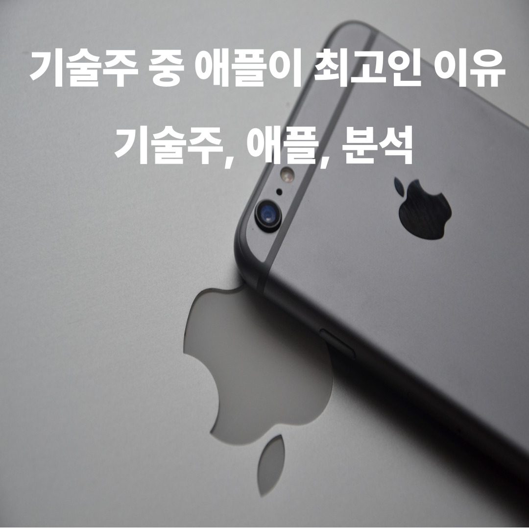 기술주 중 애플이 최고인 이유(기술주, 애플, 분석)