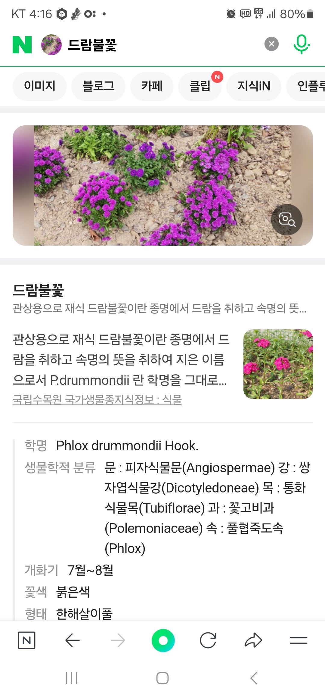 Alt 속성 문제 해결 설명 이미지