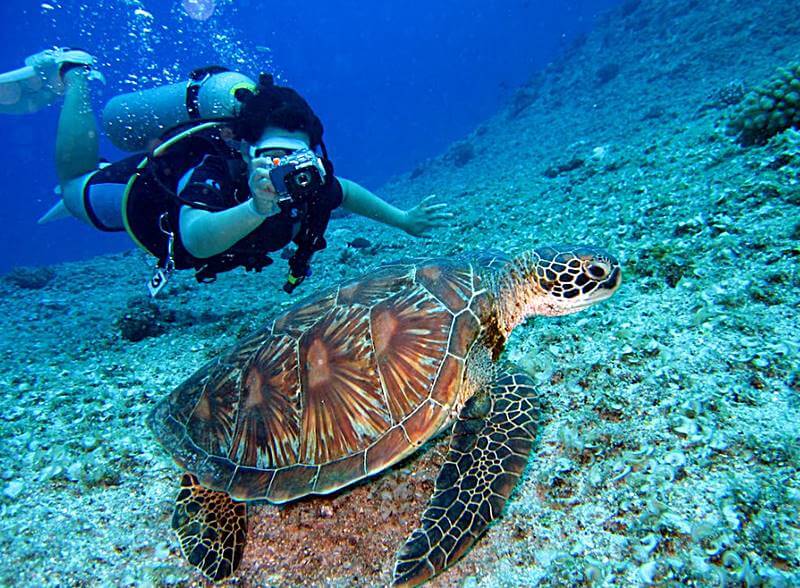 괌에서-스쿠버-다이빙하는-모습