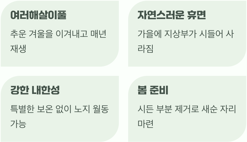 겨울, 그리고 새로운 시작