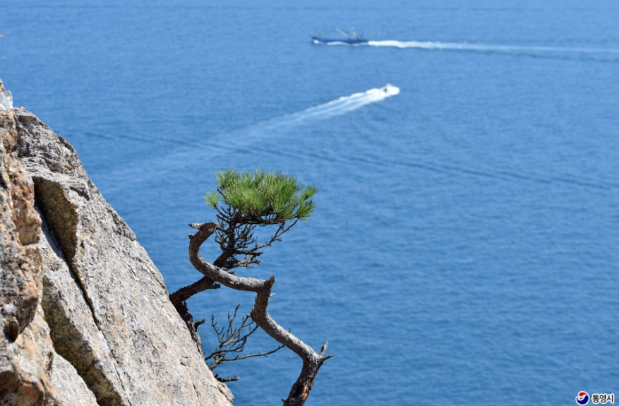 수국이 피는 바다 마을, 욕지도 수국 명소 완전 정리