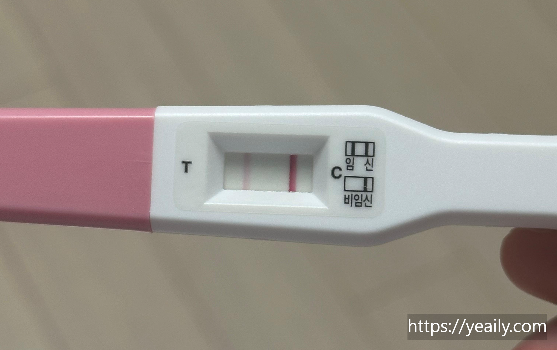 임신테스트기 두줄