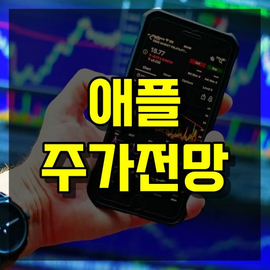 애플 주가전망