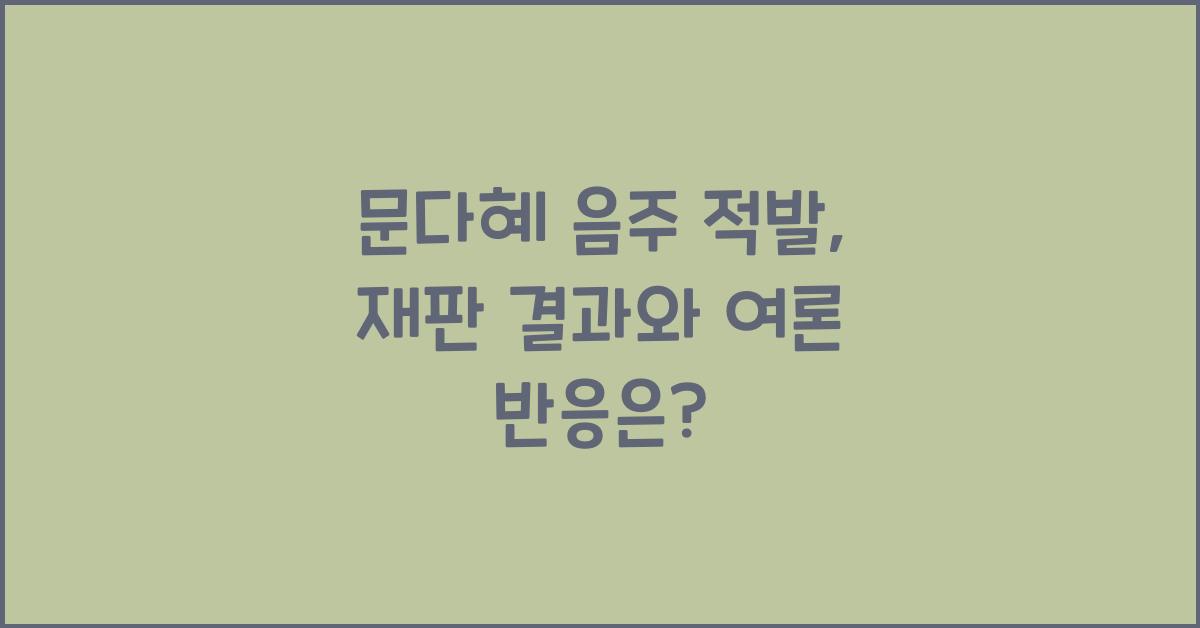 문다혜 음주