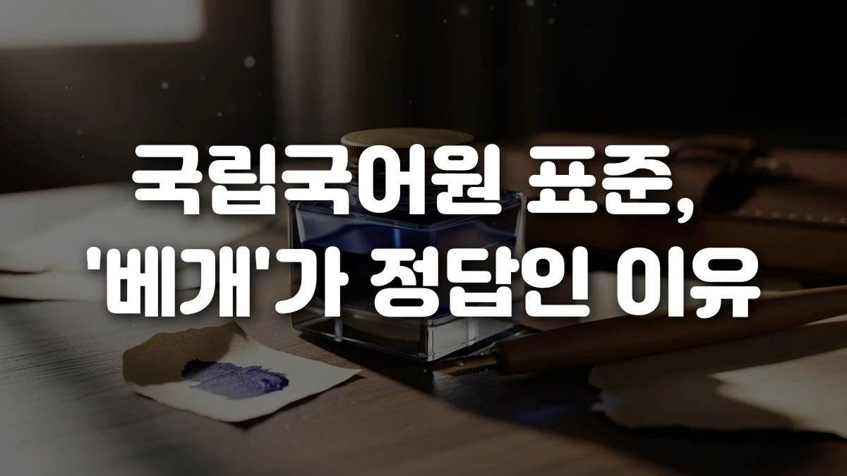 국립국어원 표준 베개 가 정답인 이유