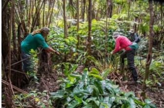 임업 직불금 신청 방법 관련 사진