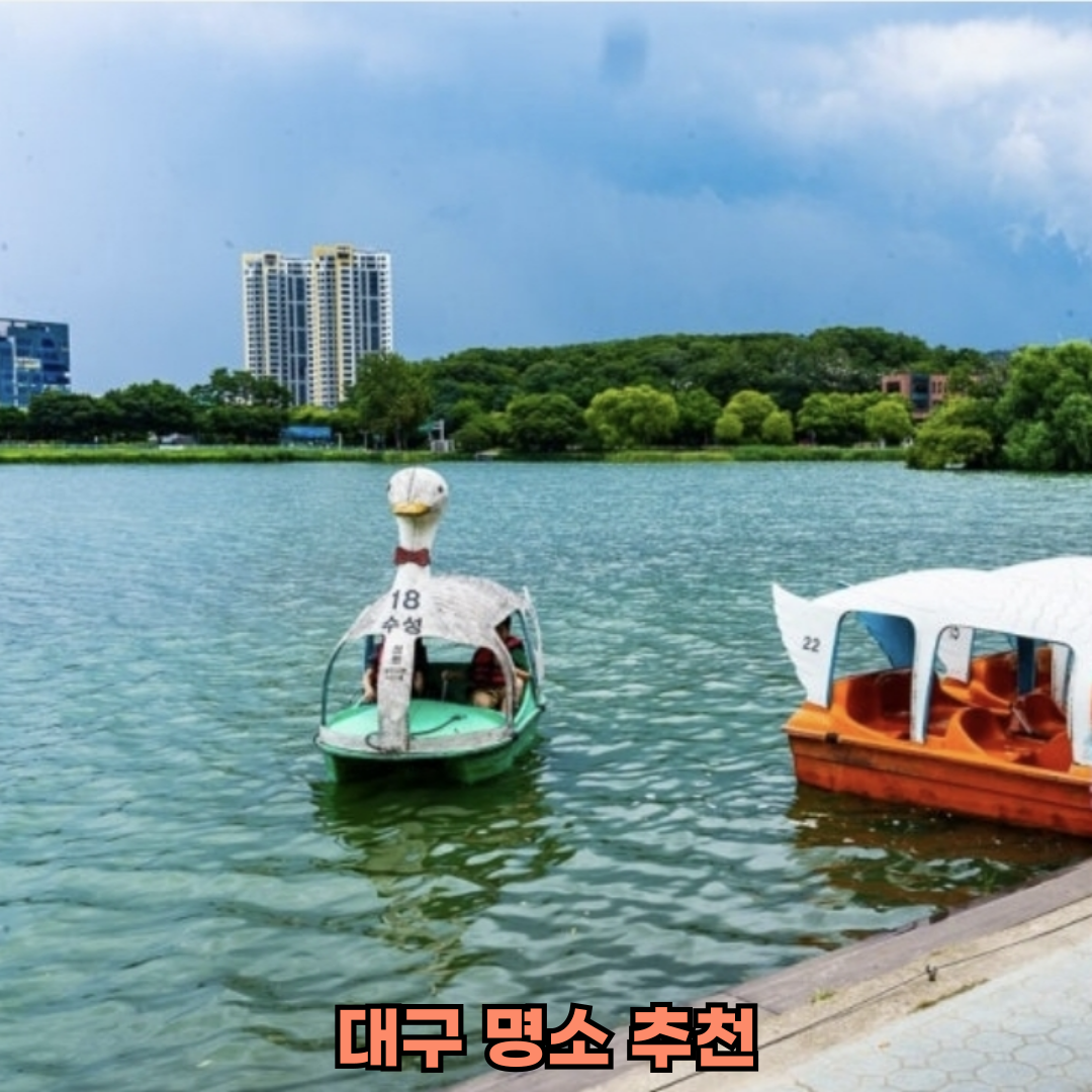 대구 핫플 봄 관광지 VS 숨은 명소 