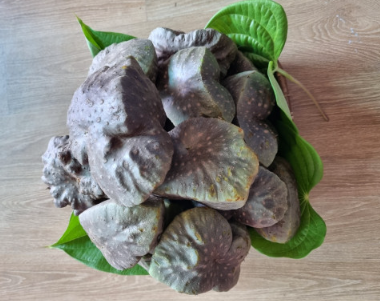 청양 미소농원 하늘마(열매마)