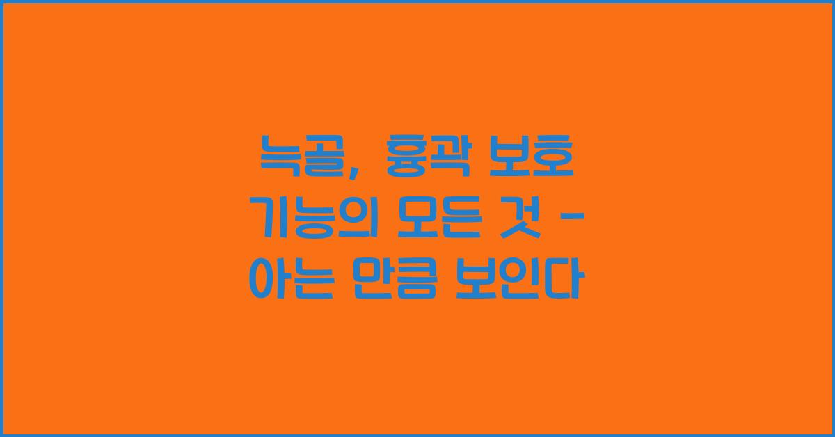 늑골, 흉곽 보호 기능