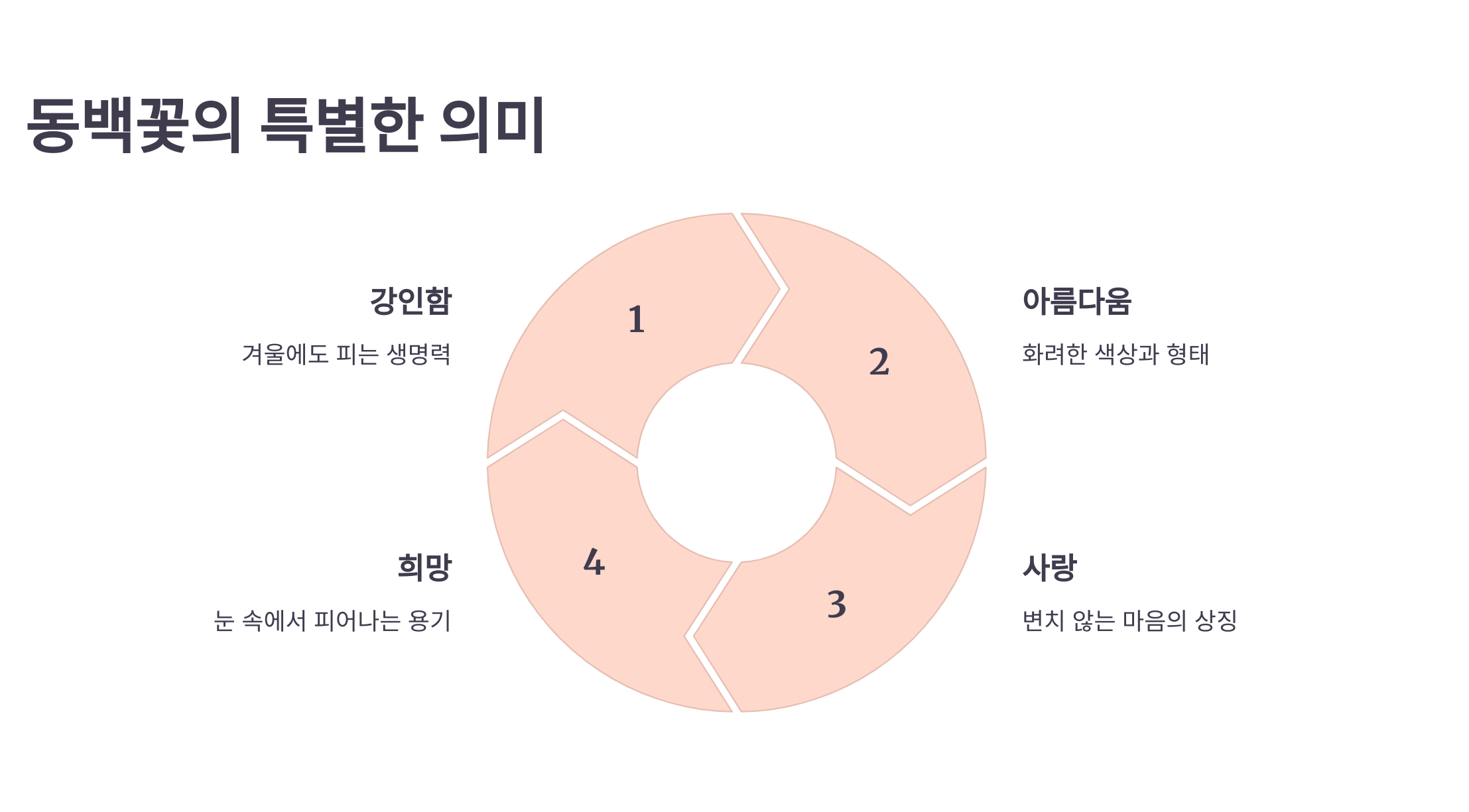 동백꽃 사진