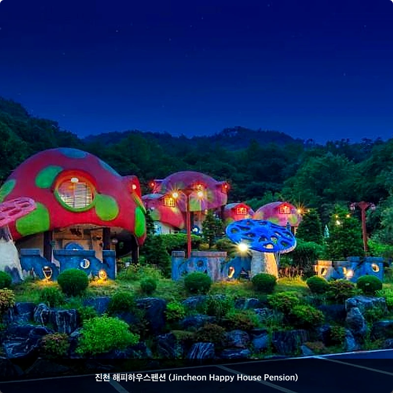 진천 해피하우스펜션 (Jincheon Happy House Pension)_4