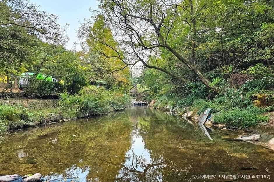 서울 계곡 추천 신림계곡