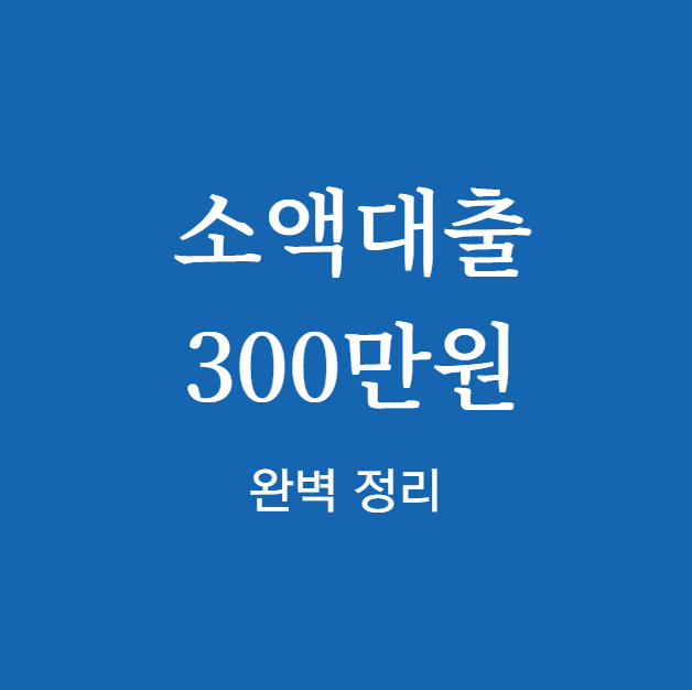 2025년 소액대출 300만원