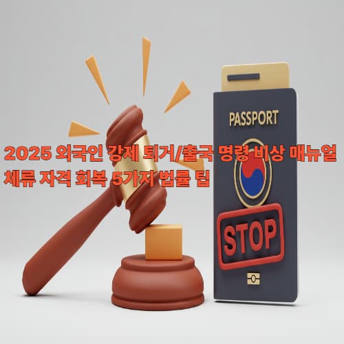 2025 외국인 강제 퇴거/출국 명령 비상 매뉴얼: 체류 자격 회복 5가지 법률 팁