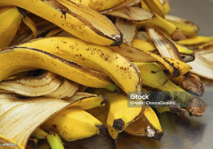 수박 껍질 등 일반쓰레기 배출