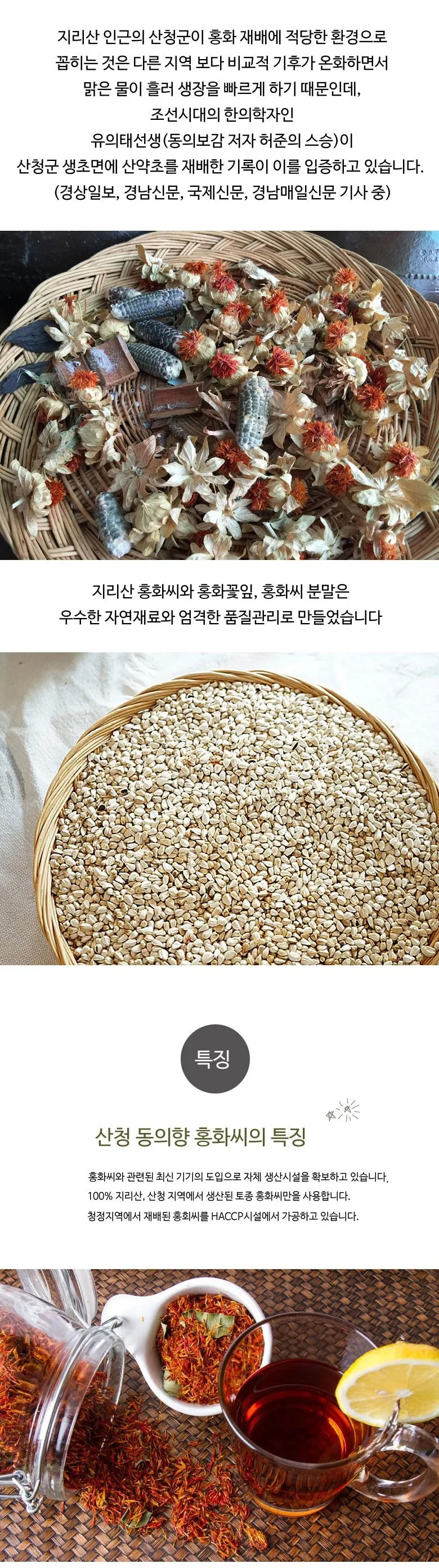 홍화 재배 건조 기후 적합 파종 요령 채종 관리_1