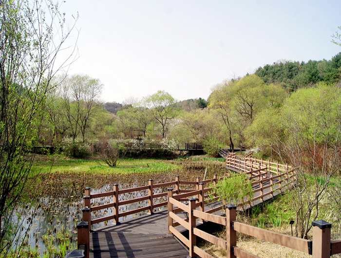 도봉 자연힐링 가족캠핑장 예약 방법&amp;#44; 요금 총정리