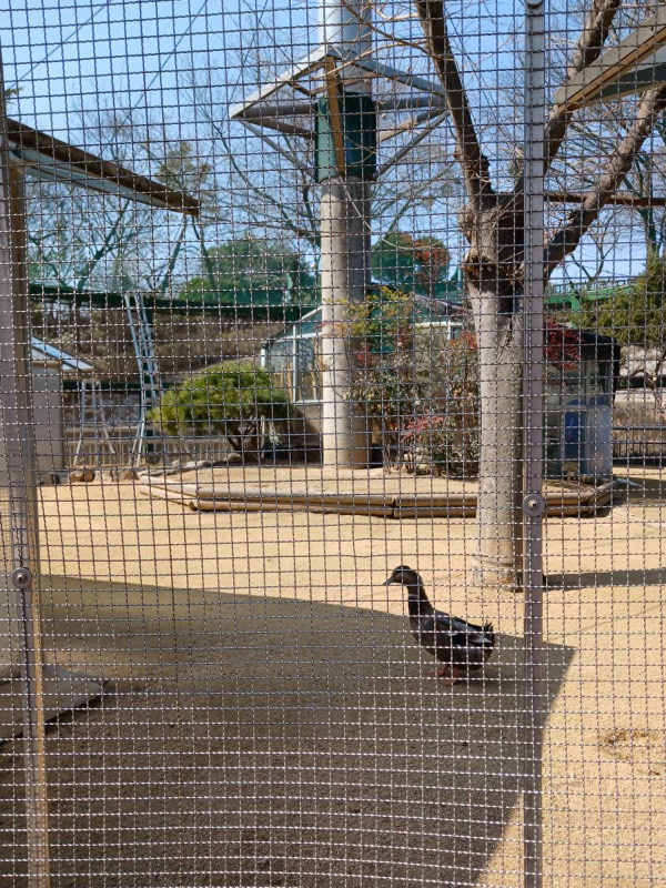 자유공원 새 공원