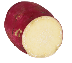 키에 좋은 음식