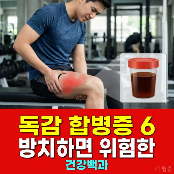 독감 합병증 인플루엔자 합병증