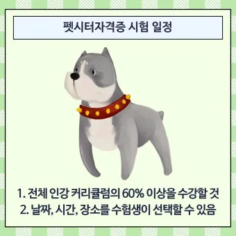 펫시터 자격 취득요건 교육기관 업무범위 수입전망_29