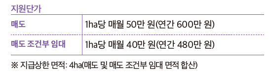 지원내용