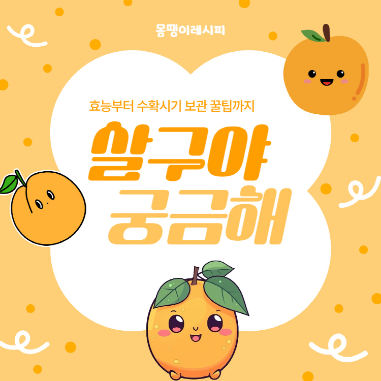 살구 효능부터 수확시기 보관 꿀팁까지: 여름 살구청 만드는 법