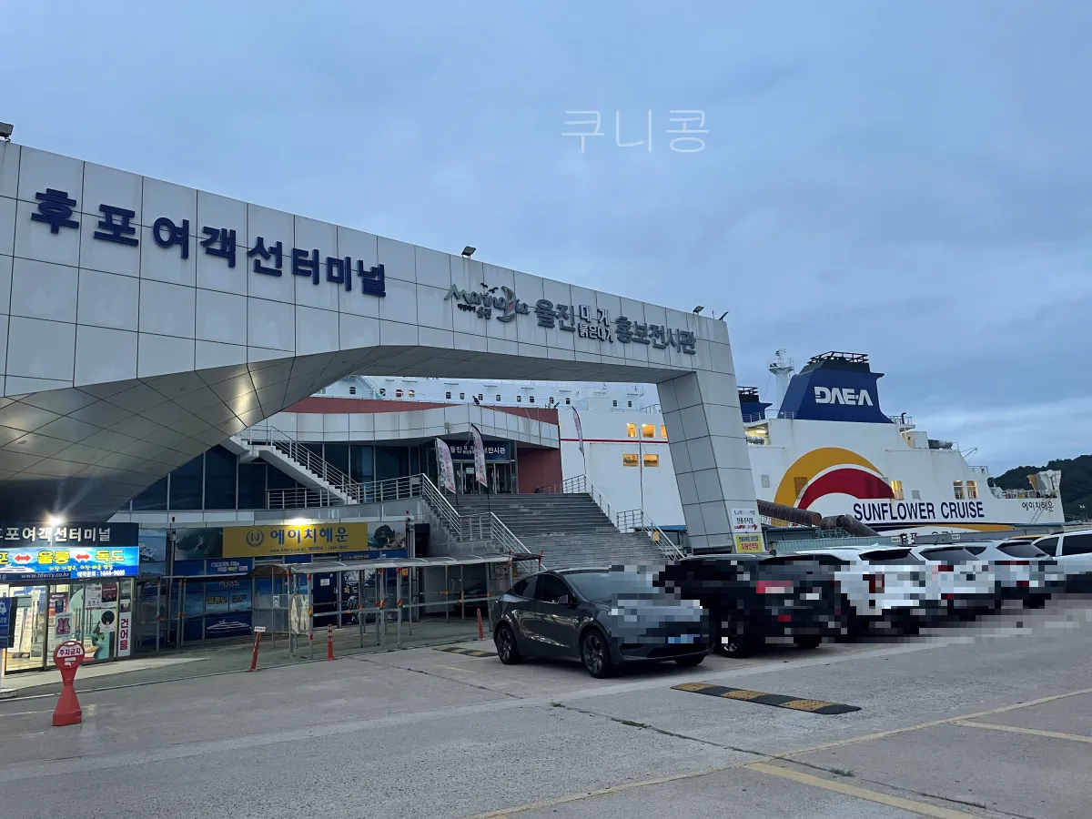 울릉도-2박3일-가족여행-후포항-울릉썬플라워-크루즈-차량선적-배편가격-발권꿀팁