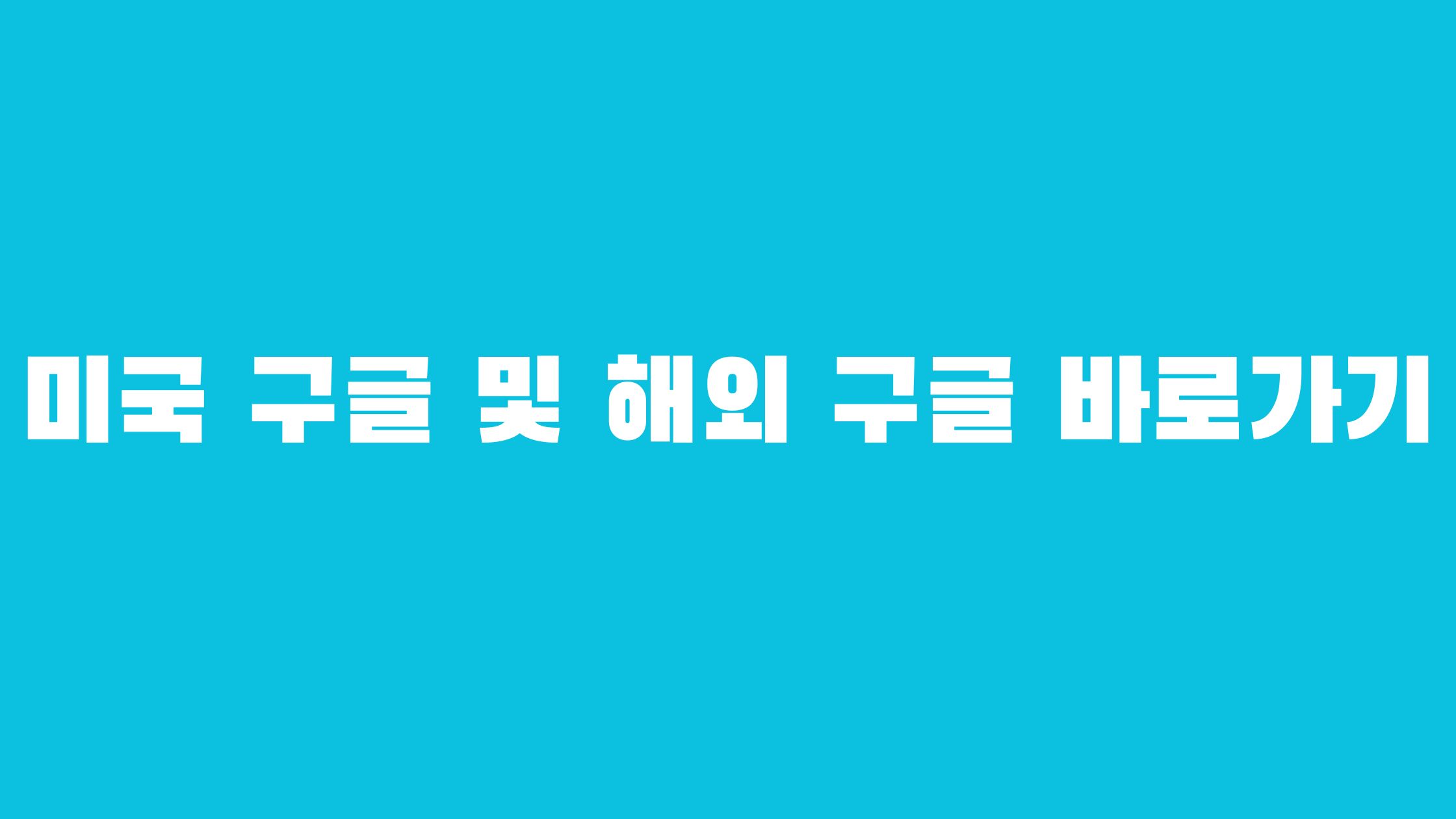 미국 구글 및 해외 구글 바로가기