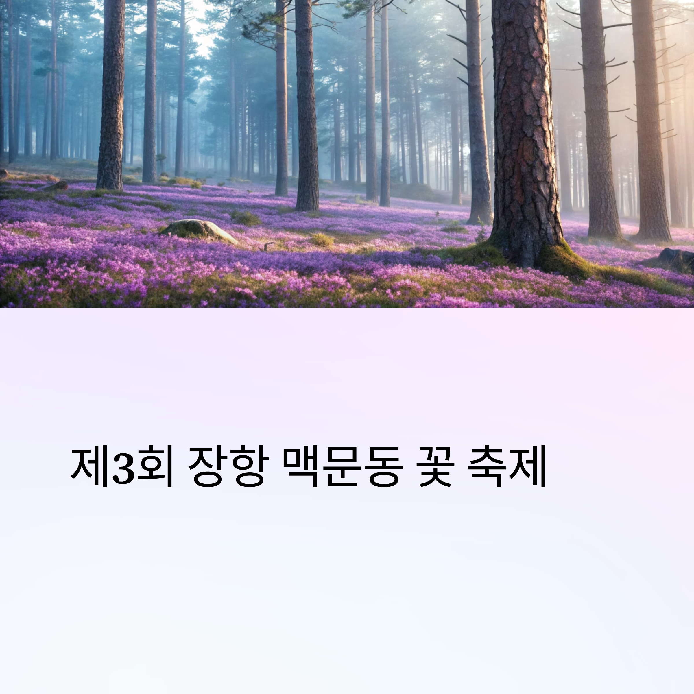 제3회 장항 맥문동 꽃 축제