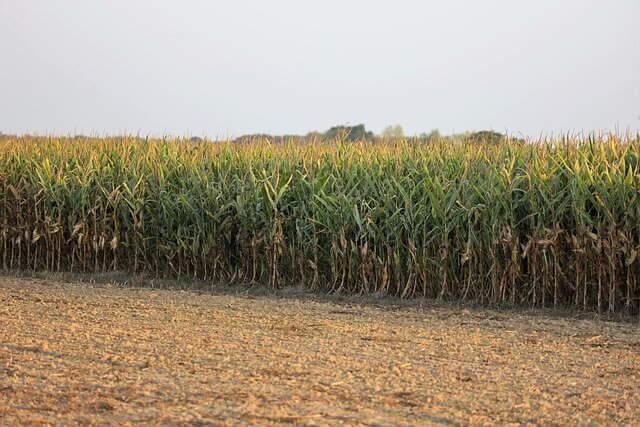 땅꿈, 땅속에 빠지는 꿈, 땅에서 발견하는 꿈, 땅꿈해몽