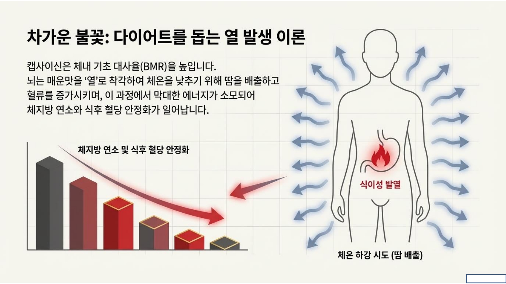 고추가루 항산화,과학적 효능