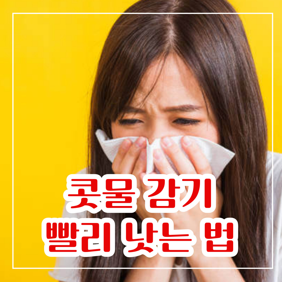 콧물 감기 빨리 낫는 법 12가지