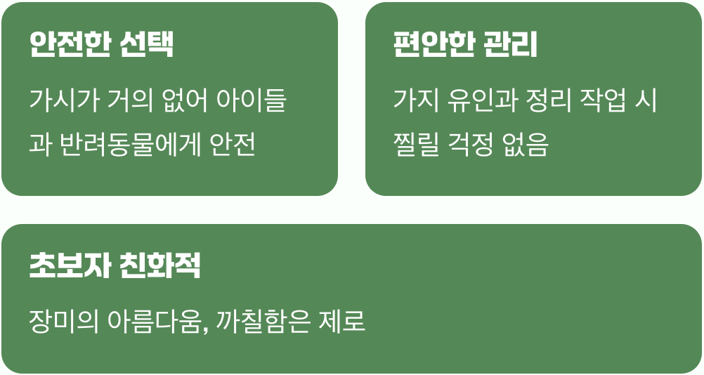 1. 가시 없는 장미? (가장 큰 매력)