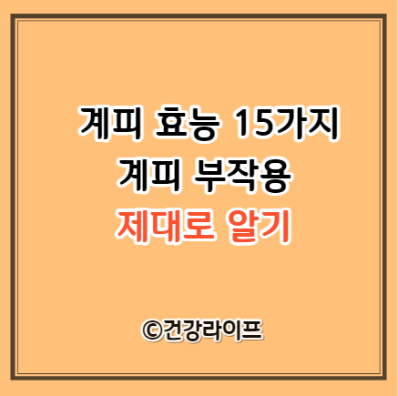 계피 효능 15가지 및 계피 부작용