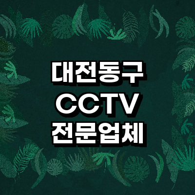 대전 동구 cctv