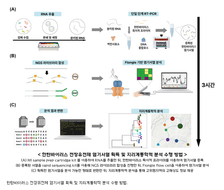 신증후군 출혈열, 한탄바이러스의 원인은 집쥐나 들쥐다! 그 이유는?