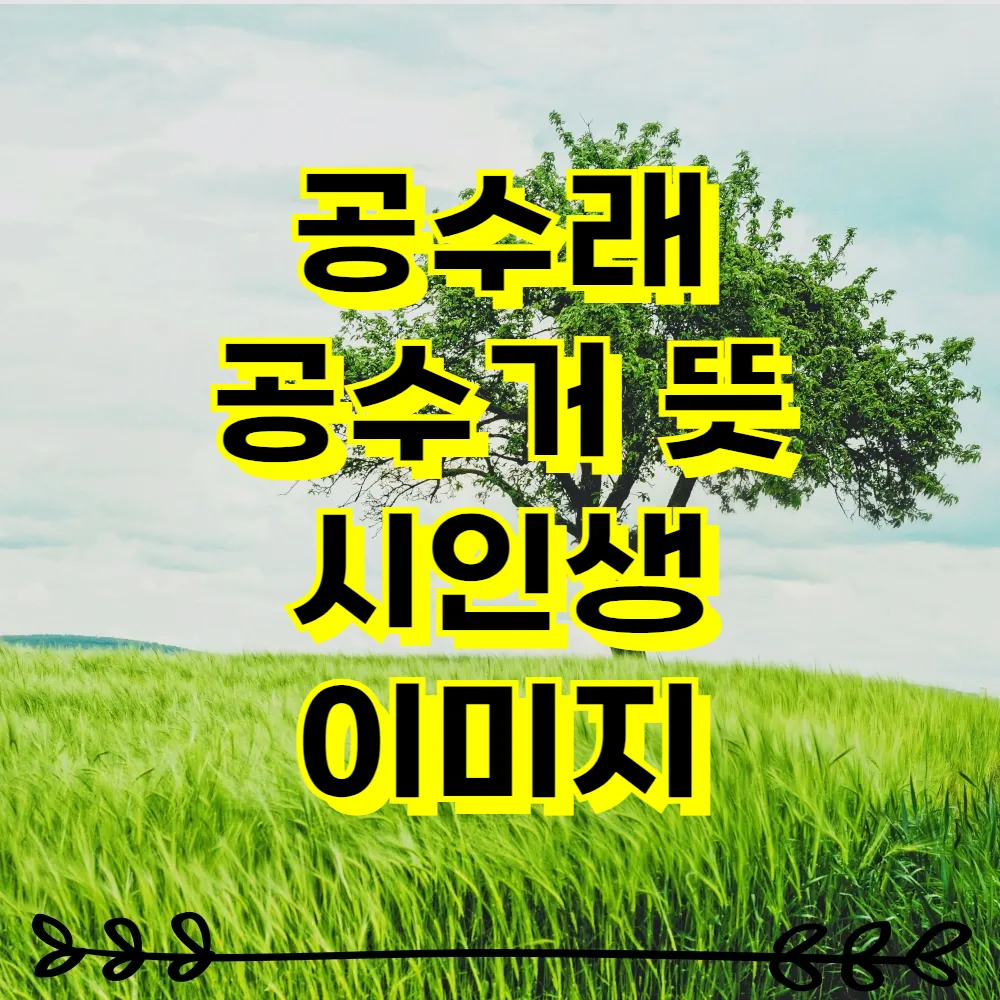 공수래 공수거 뜻 시인생 이미지