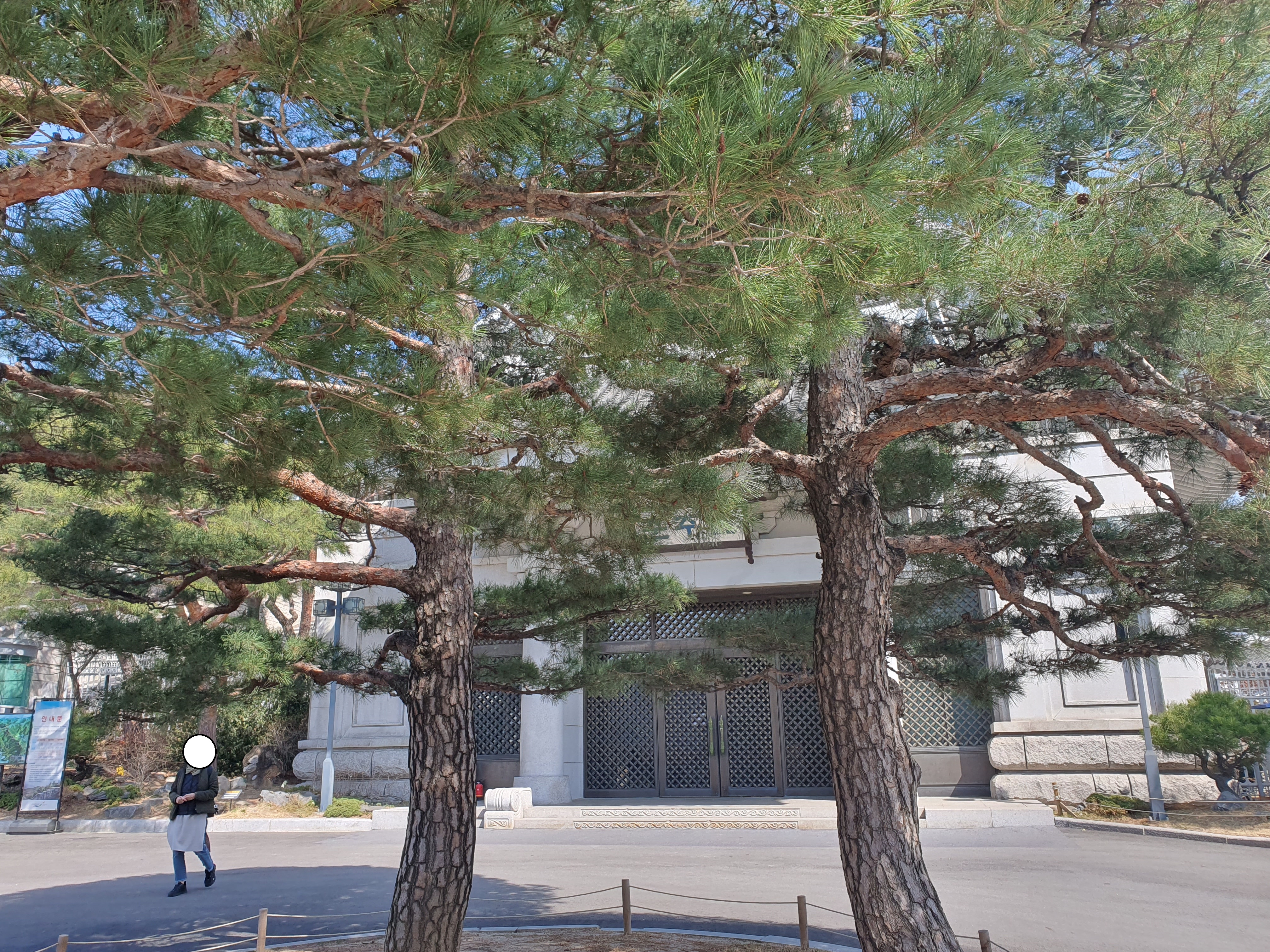 청와대