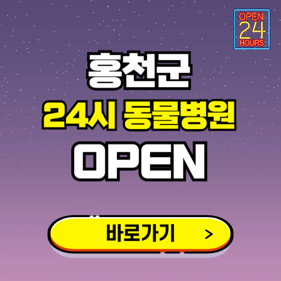 홍천군 24시 동물병원 진료하는 곳 ❘ 설날 휴일 야간 심야 문여는곳 찾기 ❘ 응급진료